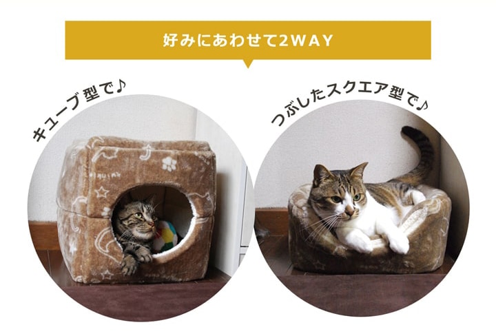 ペットベッド ツインクルキャット 3種類 テント ペット用