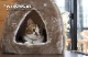 ペットベッド ツインクルキャット 3種類 テント ペット用