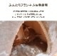 ペットベッド ツインクルキャット 3種類 テント ペット用