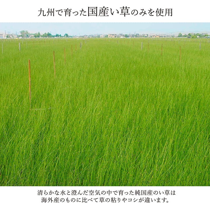 い草廊下敷 DXランクス 国産 い草廊下敷 DXランクス 国産