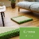 クッション い草 小座布団 詩織