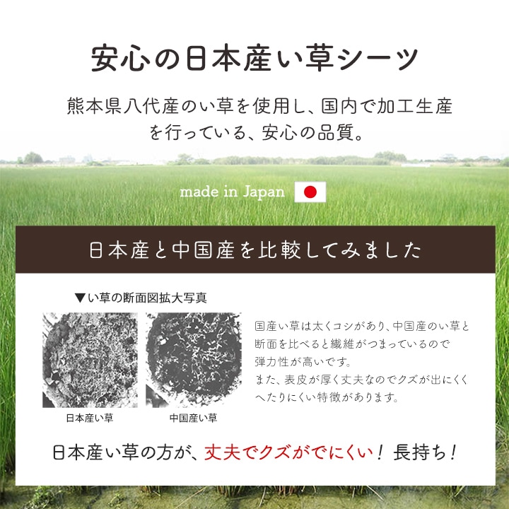 い草枕 平枕 詩織 約50×30cm