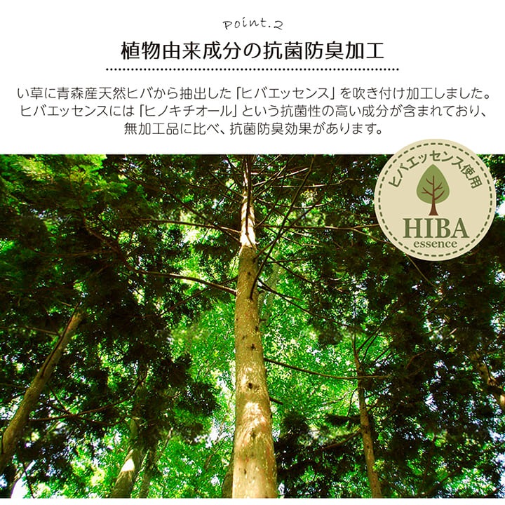 い草 ござ 上敷き カーペット セレナ ギャベ柄 江戸間2畳～6畳