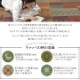 い草 ござ 上敷き カーペット セレナ ギャベ柄 江戸間2畳～6畳