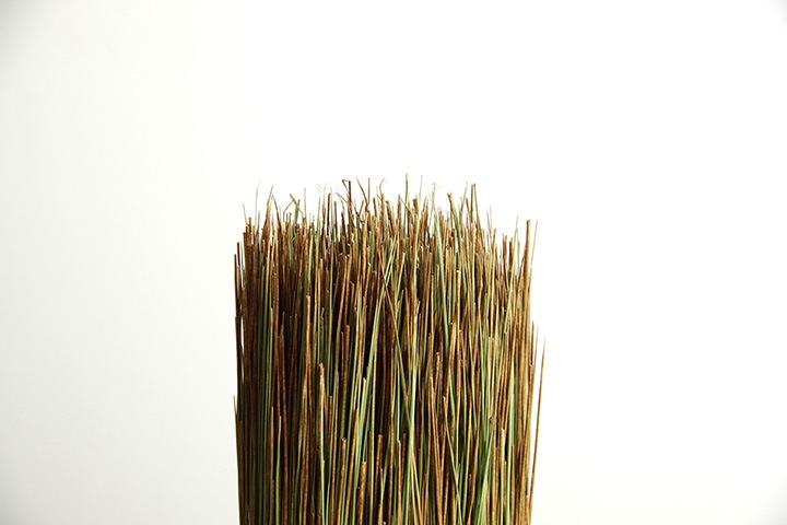 インテリア オブジェ 畳のもと い草のもと 水やり不要 ナチュラル 自然 観葉植物 グリーンインテリア 消臭