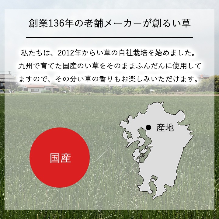 インテリア オブジェ 畳のもと い草のもと 水やり不要 ナチュラル 自然 観葉植物 グリーンインテリア 消臭