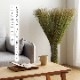インテリア オブジェ 畳のもと い草のもと 水やり不要 ナチュラル 自然 観葉植物 グリーンインテリア 消臭