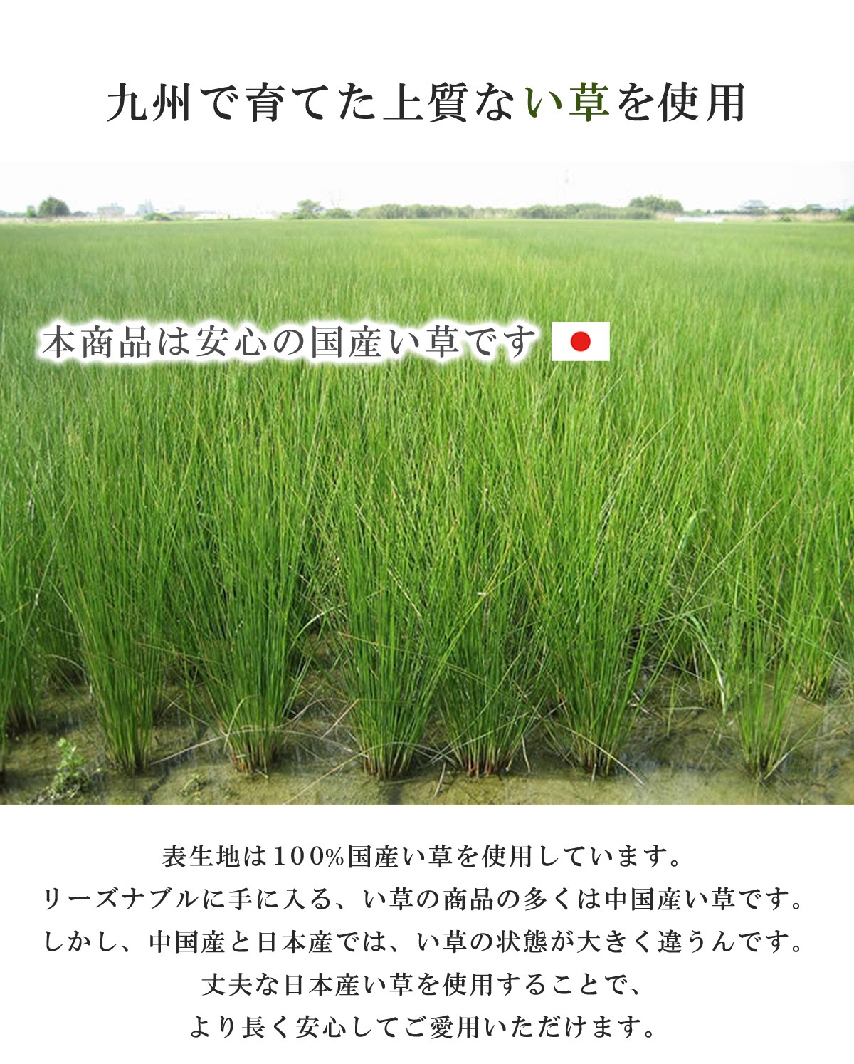 角枕 お父さん枕 い草 い草枕 父の日 敬老の日 ギフト プレゼント ラッピング対応