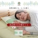 枕 森の眠り ヒバパイプ枕 洗える