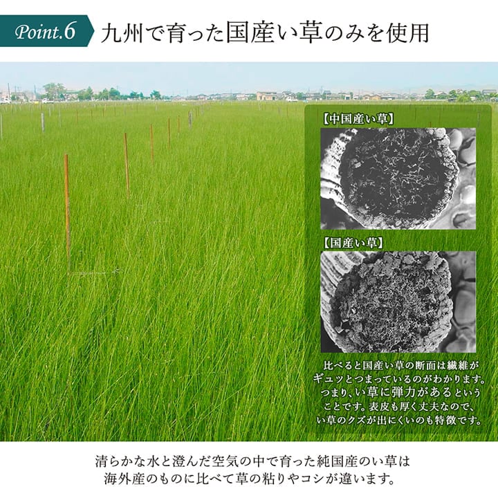 畳ヨガマット SAKURA富士 い草 国産