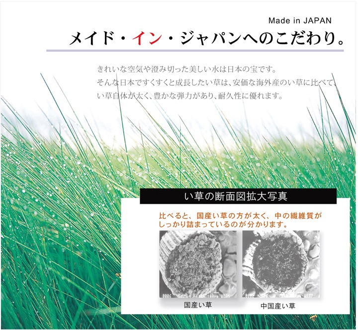 国産 い草ラグ Fライト 市松 格子柄 シンプル モダン