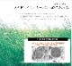 国産 い草ラグ Fライト 市松 格子柄 シンプル モダン