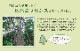 国産 い草ラグ Fライト 市松 格子柄 シンプル モダン
