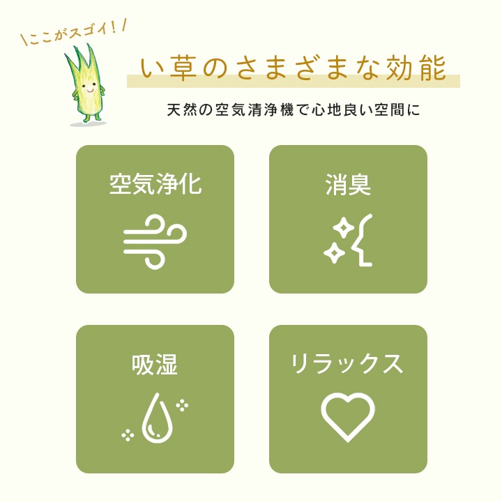 金時草の力　11箱お纏めまたは必要個数で なると金時【里むすめ】 5kg箱