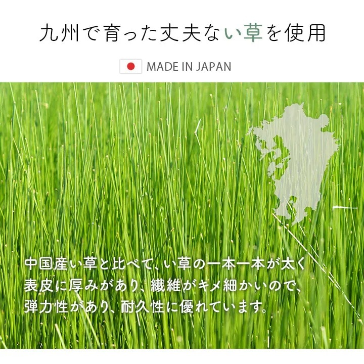 国産 い草ラグ 剣ヶ峰 掛川織 ブラック 200×200cm 200×250cm