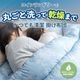 洗える布団 掛布団 乾燥機OK コインランドリー 日本製 シングル セミダブル ダブル