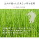 国産 い草 玄関マット Fマルコス