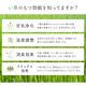 国産 い草 玄関マット Fミーナ ギャッベ柄