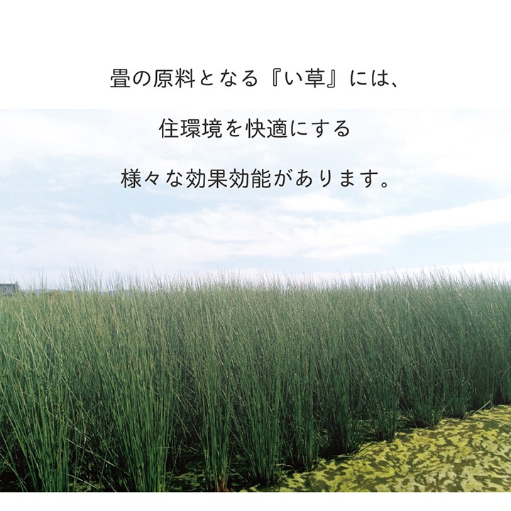 置き畳 ユニット畳 無地畳 約70cm×70cm 厚み約15mm