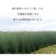 置き畳 ユニット畳 無地畳 約70cm×70cm 厚み約15mm