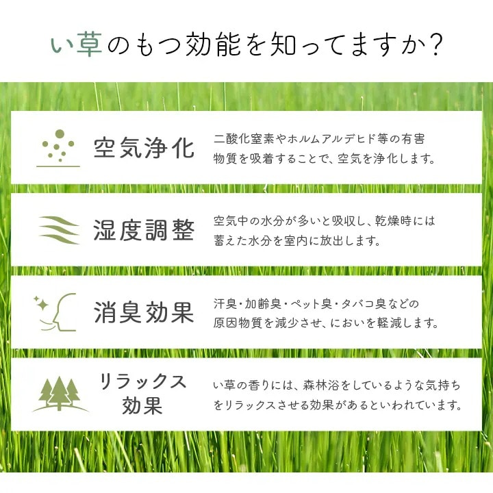 国産 い草 カーペット 楓 花ござ 江戸間サイズ 本間サイズ