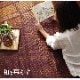 国産い草 ござ 上敷き カーペット DXランクス 裏貼 江戸間 2~6畳