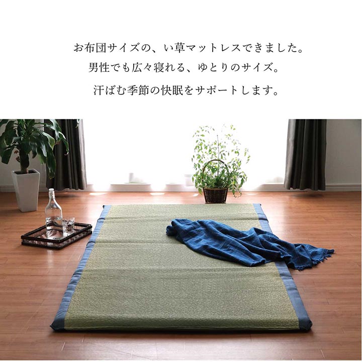 い草マットレス 水月 シングルサイズ ごろ寝マット お昼寝マット