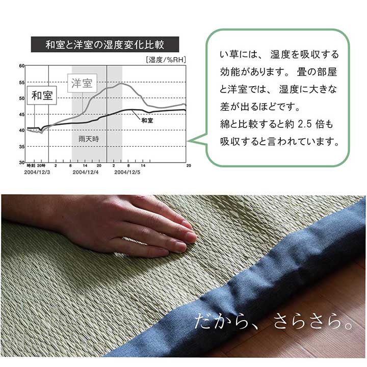 い草マットレス 水月 シングルサイズ ごろ寝マット お昼寝マット