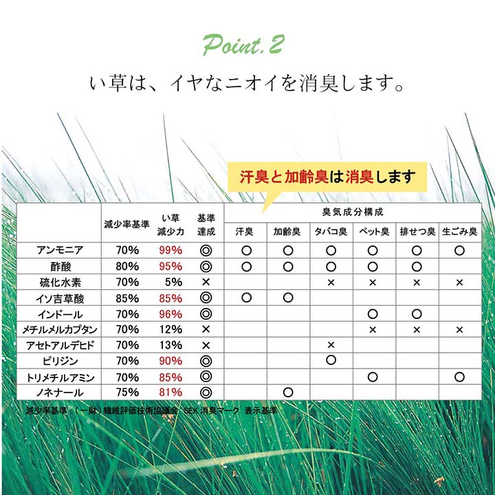 い草マットレス 水月 シングルサイズ ごろ寝マット お昼寝マット