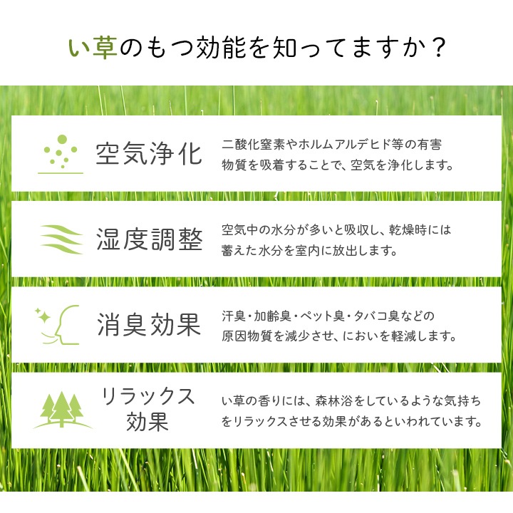 い草マット 「アンパンマンといっしょ」 約70×120cm 日本製