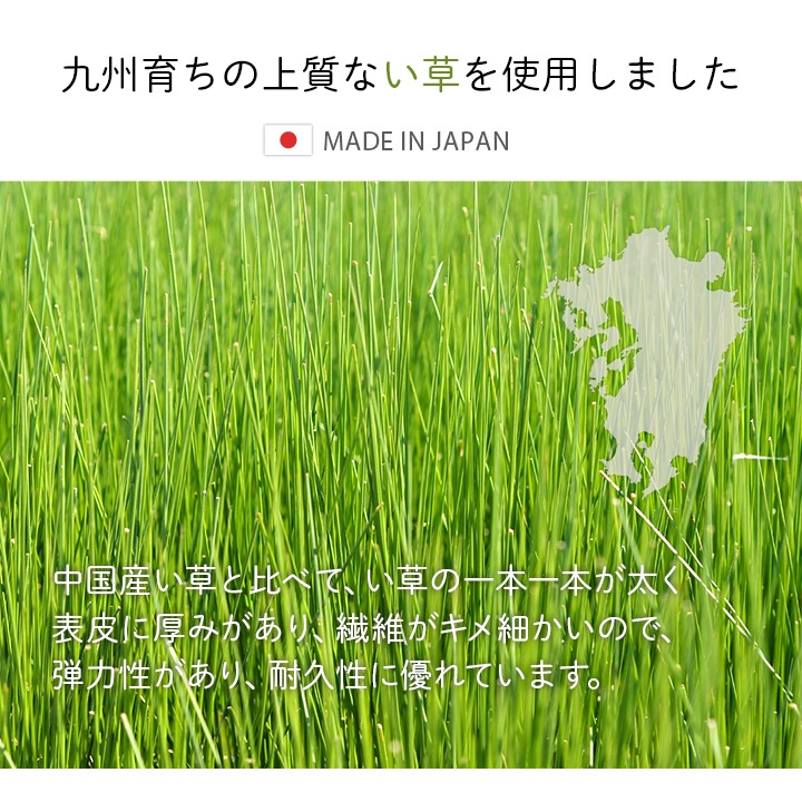 国産 い草ラグ 「アンパンマン大集合」 約132×132cm 日本製