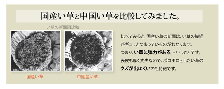 国産い草 ござ 上敷き 清正 江戸間/本間 1～10畳