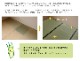 国産い草 ござ 上敷き 清正 江戸間/本間 1～10畳