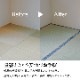 ござ 国産い草上敷き 白浜 江戸間 1～8畳 国産