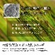 ござ 国産い草上敷き 白浜 江戸間 1～8畳 国産
