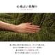 こたつ2点セット ノート こたつ布団＋敷き布団 正方形 長方形 ズレ防止用ひも付き