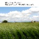 【20日間返品無料】国産い草ラグ カーペット DXヒストワール