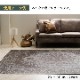 【20日間返品無料】国産い草ラグ カーペット DXヒストワール