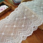 ڤ14cm򾮲֤Υå륹ȥå졼