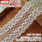 �ں߸˽�ʬ��5.5cm��������Υȡ������졼��