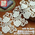 �ں߸˸¤��16.5cm��������ι�ڤʥ��ߥ���졼��