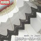 6cm�� ���Τ��줤�ʥ��塼��졼��