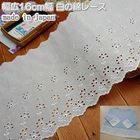 ����16cm�� ����ʥ졼��(1m)