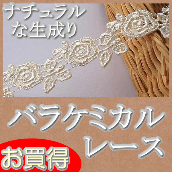 �ڤ������� 2�����������Τ��줤�ʥХ饱�ߥ���졼��(1��)