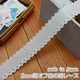 2cm����������ʥ졼��(1m)