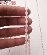 0.5cm�����襤���ԥ󥯤Υȡ������졼��