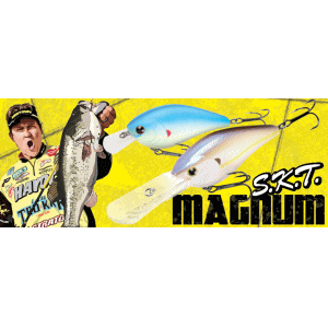 ��å�������եȡ�SKT�ޥ��ʥࡡ120 Mag DR