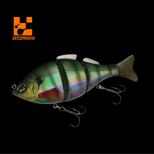 ��������å��������165HF���ϥ��ե�����