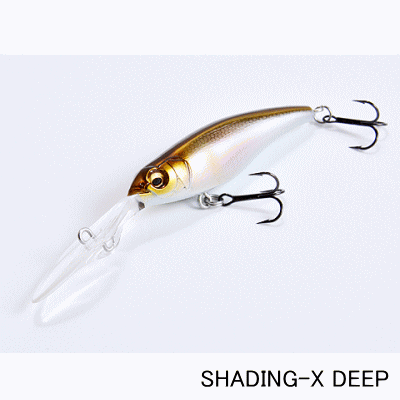 �ᥬ�Х�������åǥ���X���ǥ�����