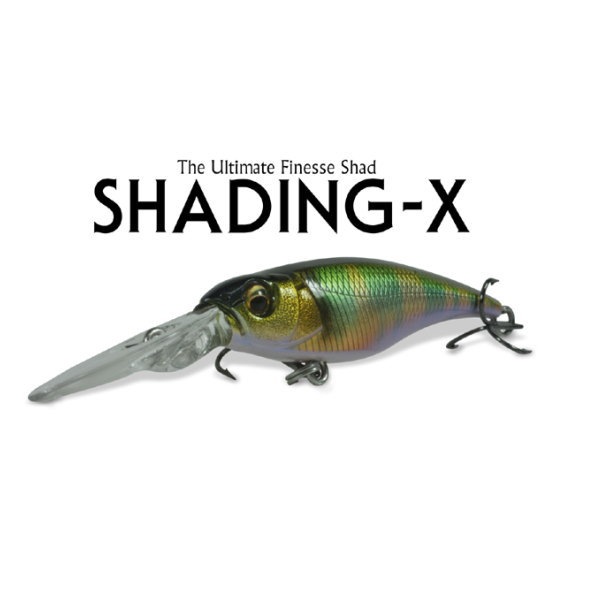 �ᥬ�Х�������åǥ�X��62����